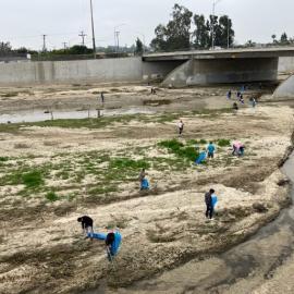 Channel Cleanup Photo