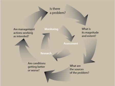 SAR Monitoring Chart